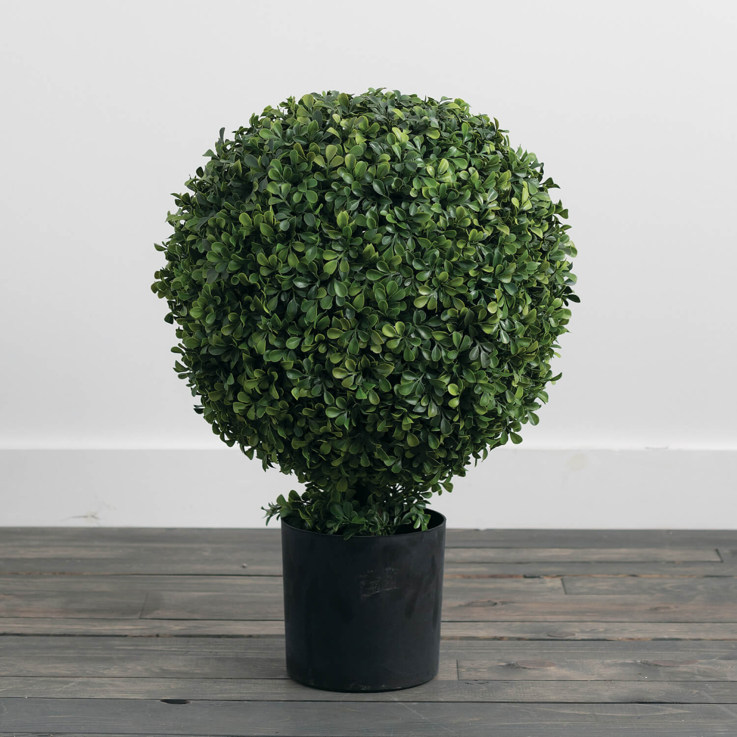 BOXWOOD TOPIARY