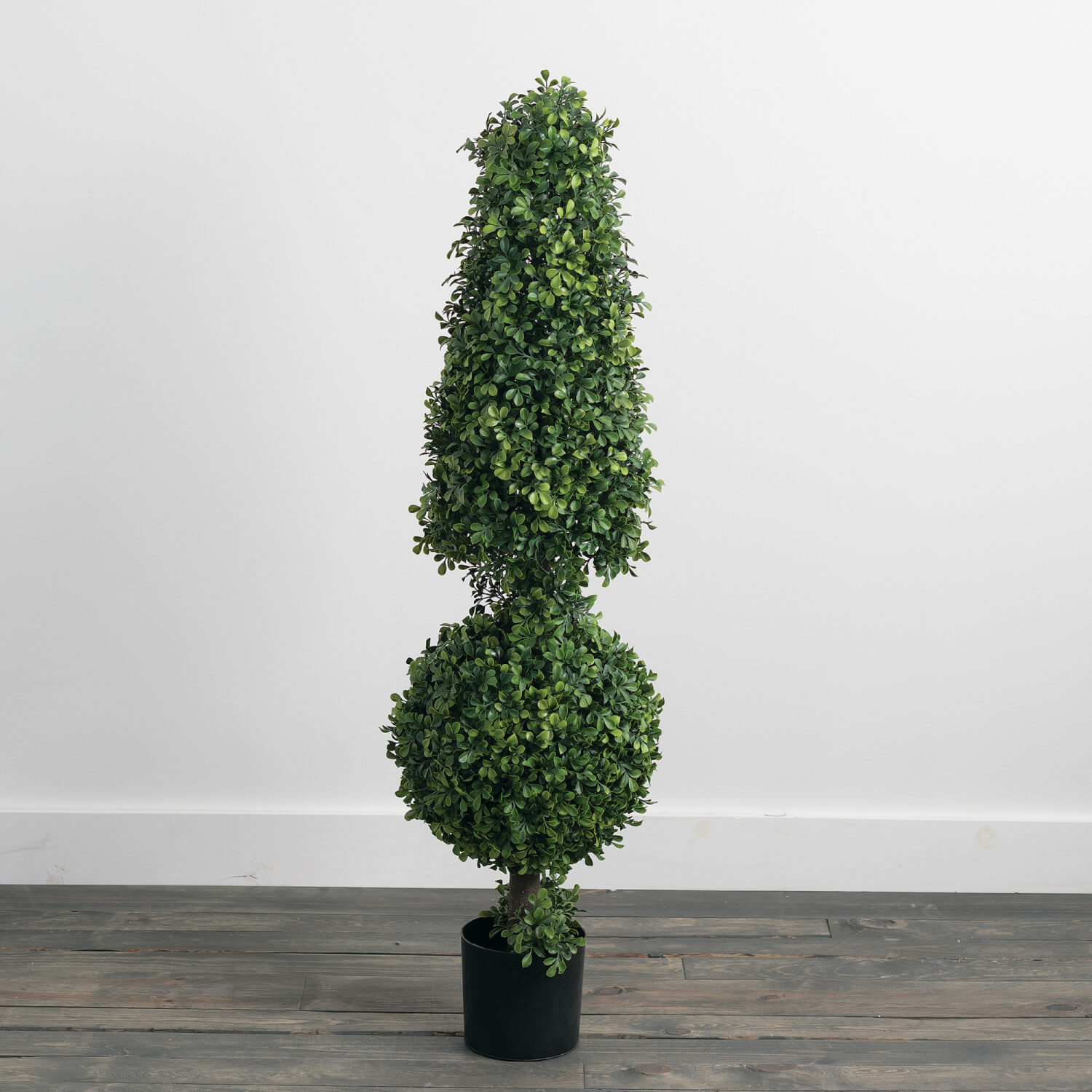 BOXWOOD TOPIARY