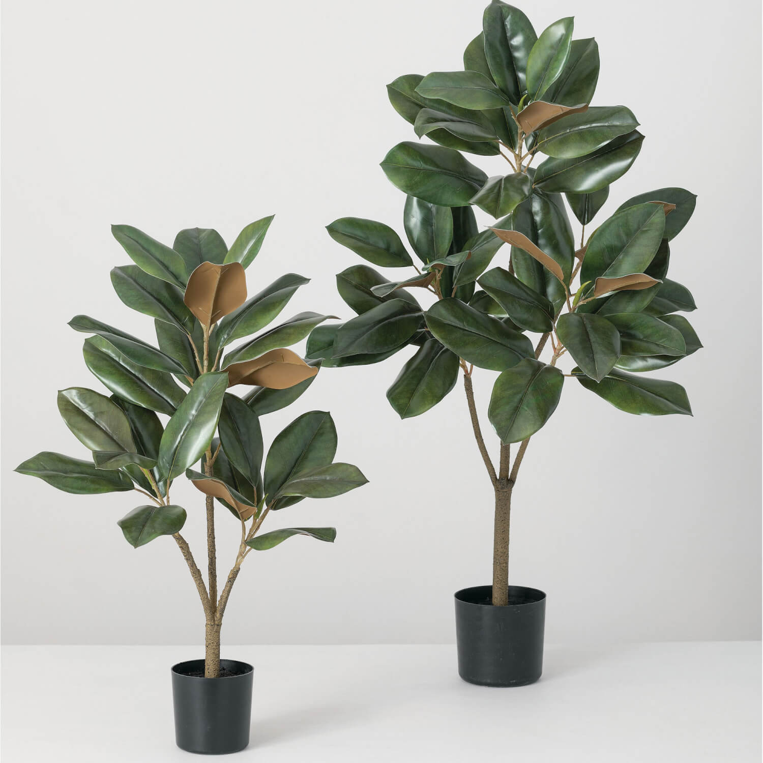 MAGNOLIA TREE SET OF 2