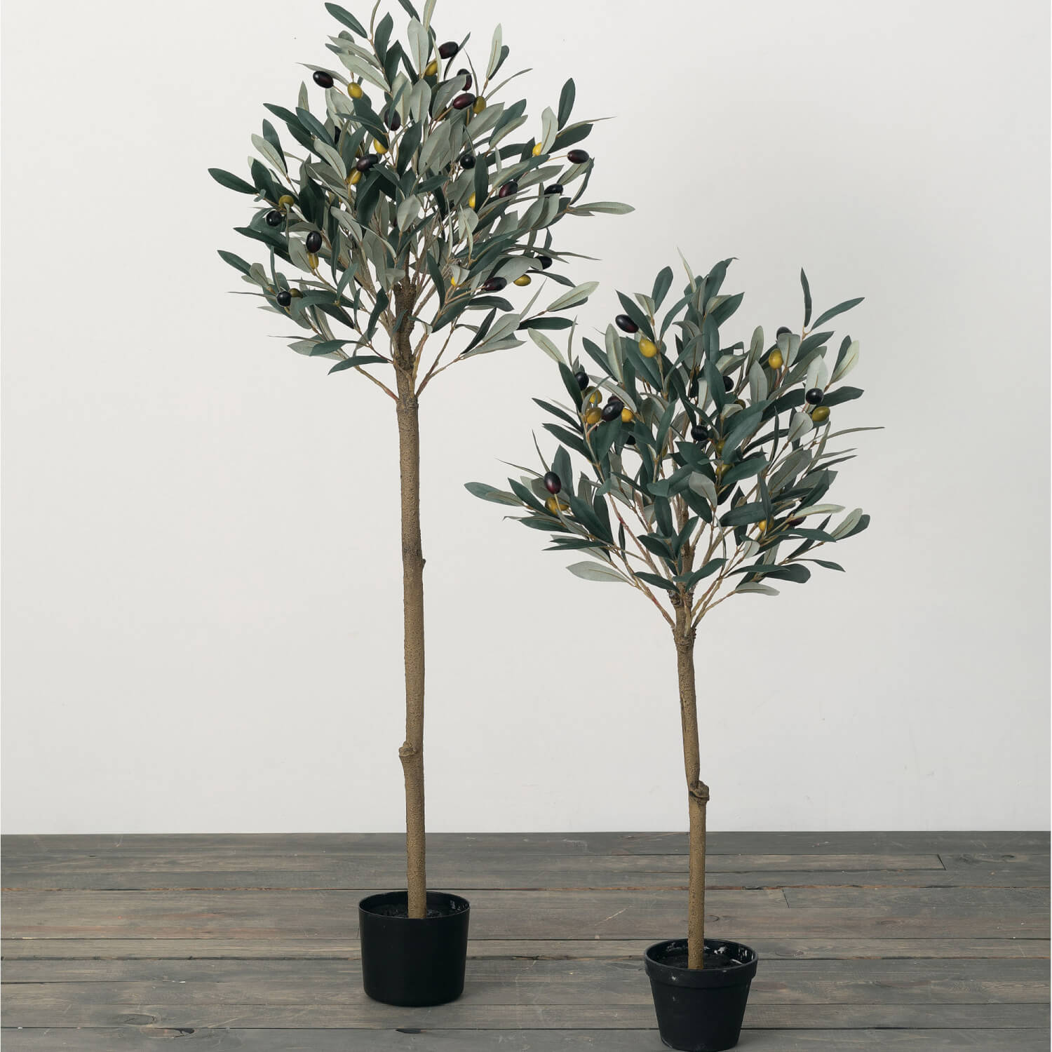 OLIVE TREE TOPIARES SET OF 2