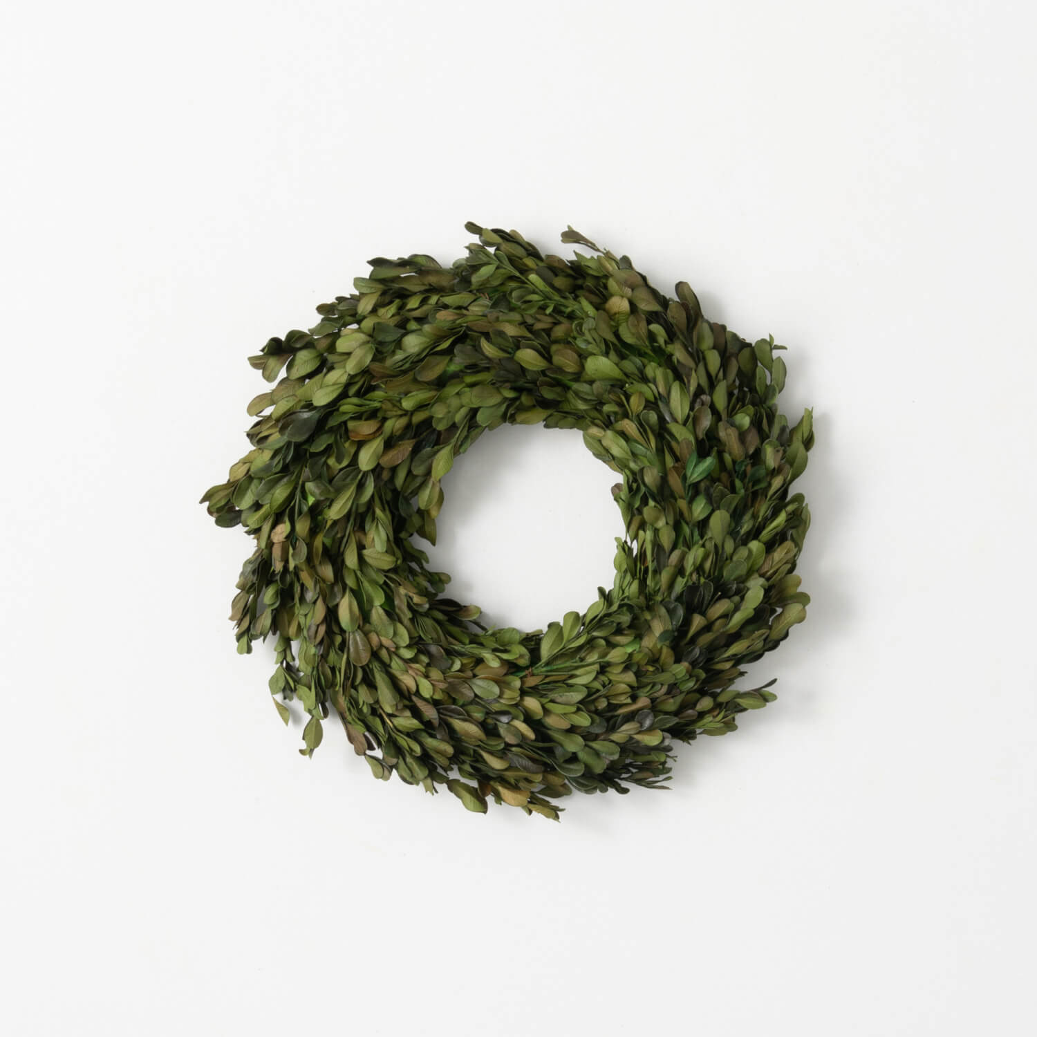 12" BOXWOOD WREATH