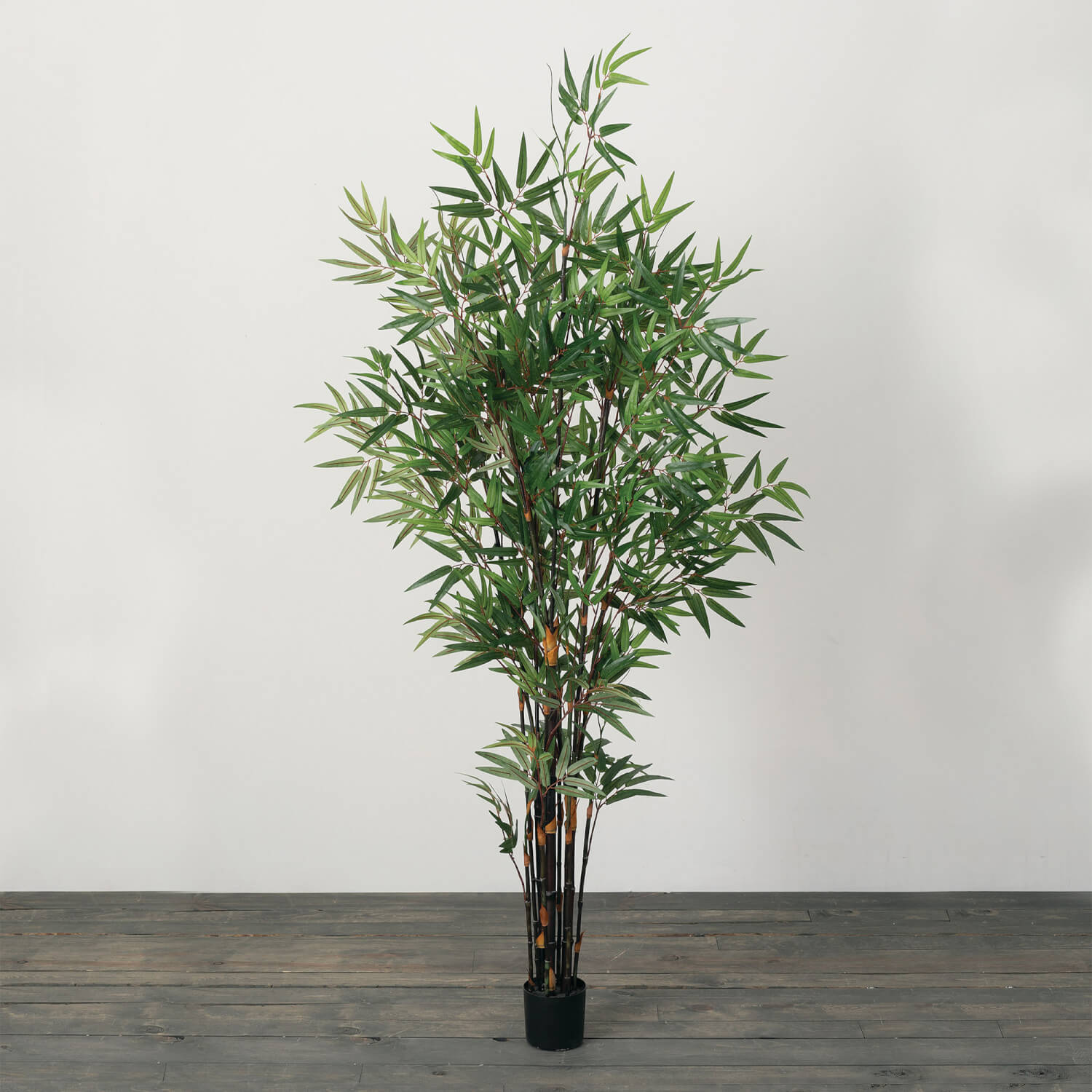 6'4"H BAMBOO TREE