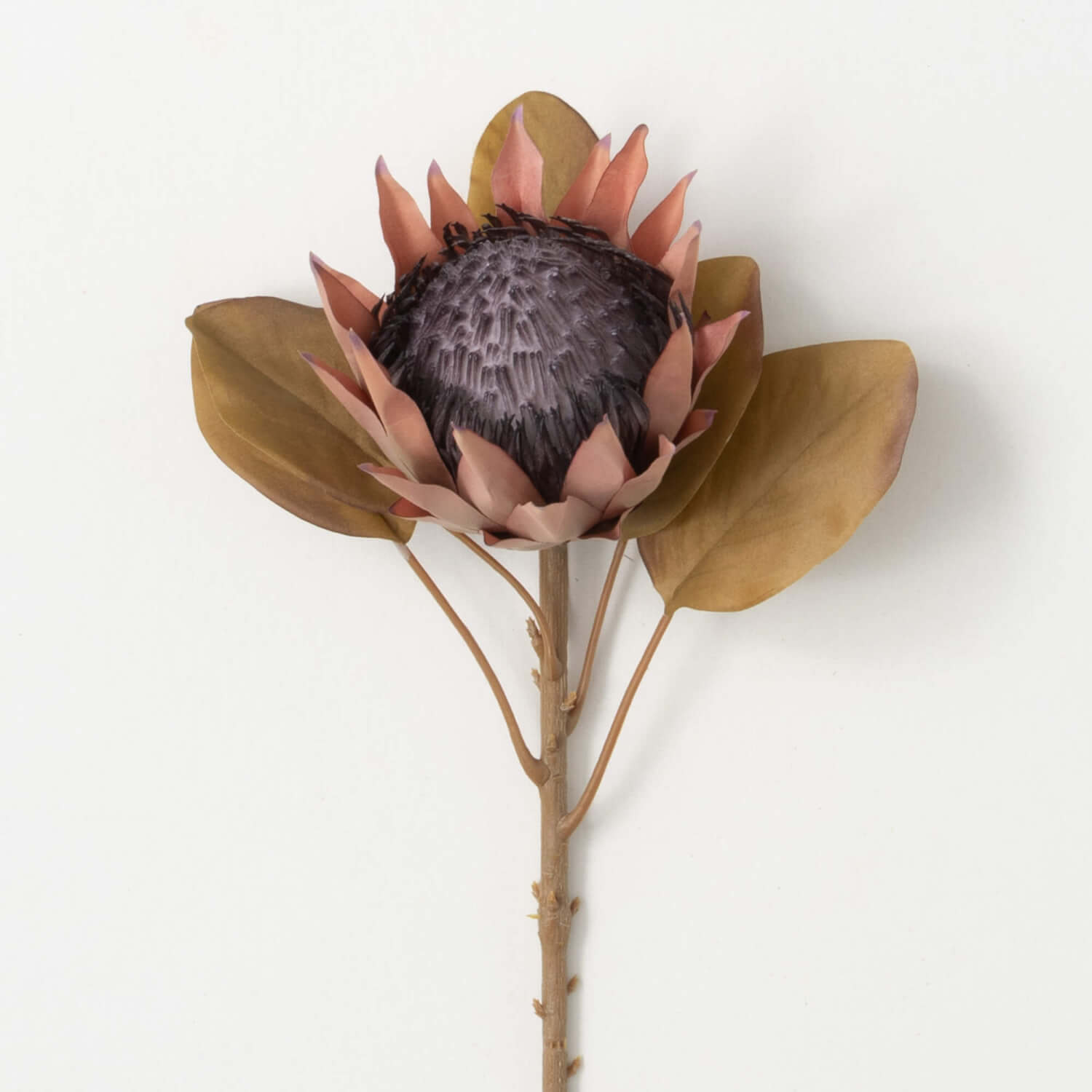 COFFEE-BLUSH FAUX DRIED PROTEA