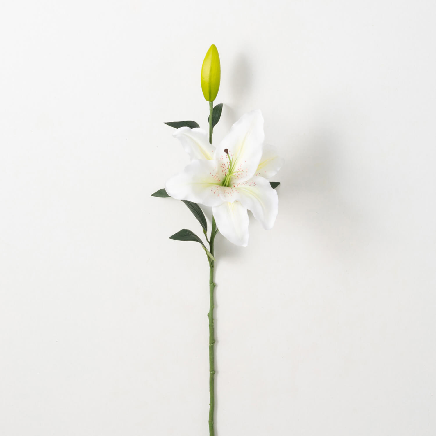 CASABLANCA LILY STEM