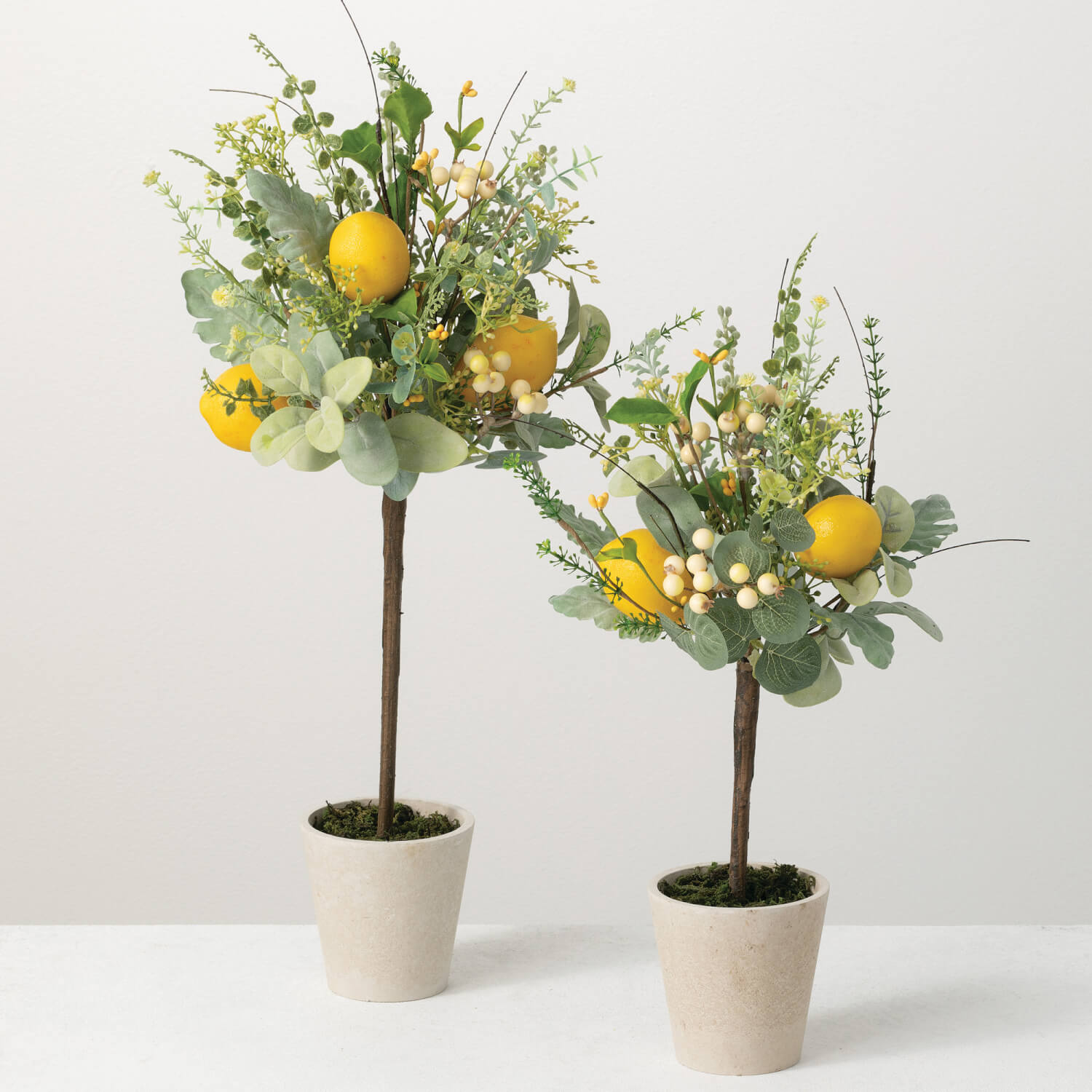 HERB LEMON TOPIARY SET OF 2