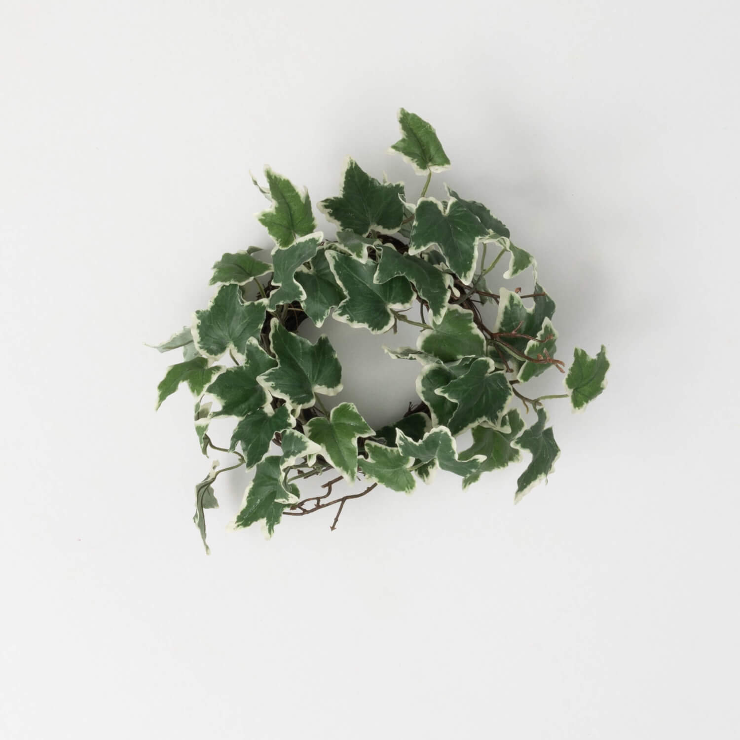 4.5" IVY TWIG ACCENT RING