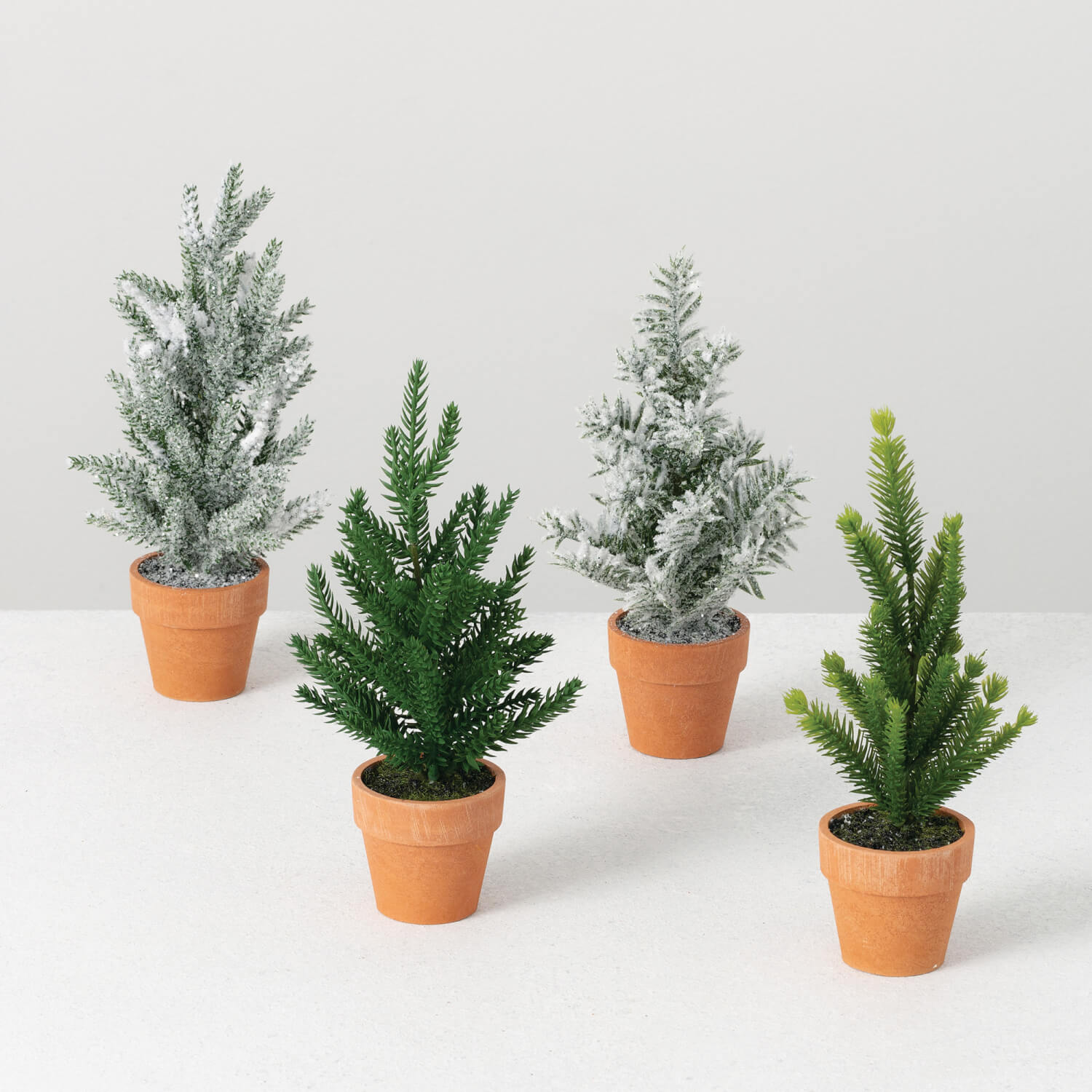 MINI POTTED TREES Set 4