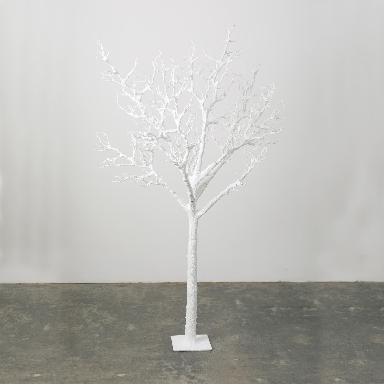 WHITE BRANCH TREE