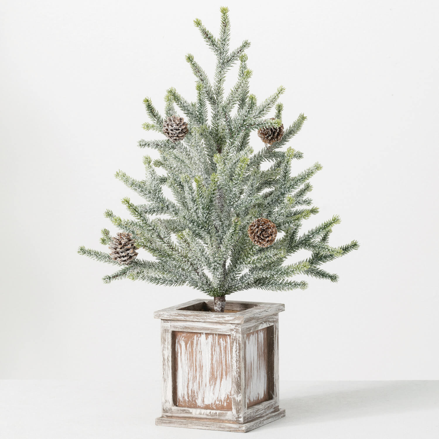 POTTED 18" PINE TREE