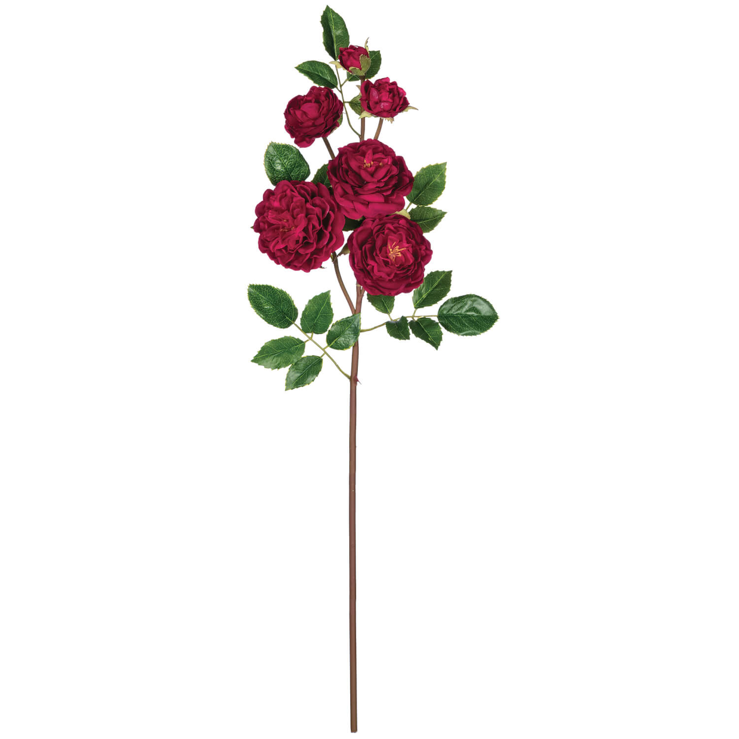 ROSE STEM