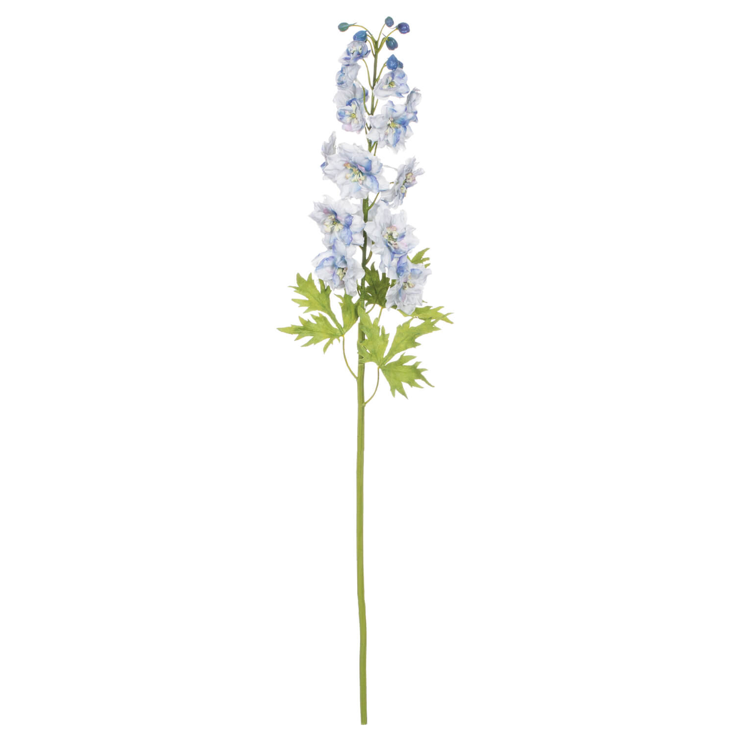 DELPHINIUM FOXGLOVE STEM