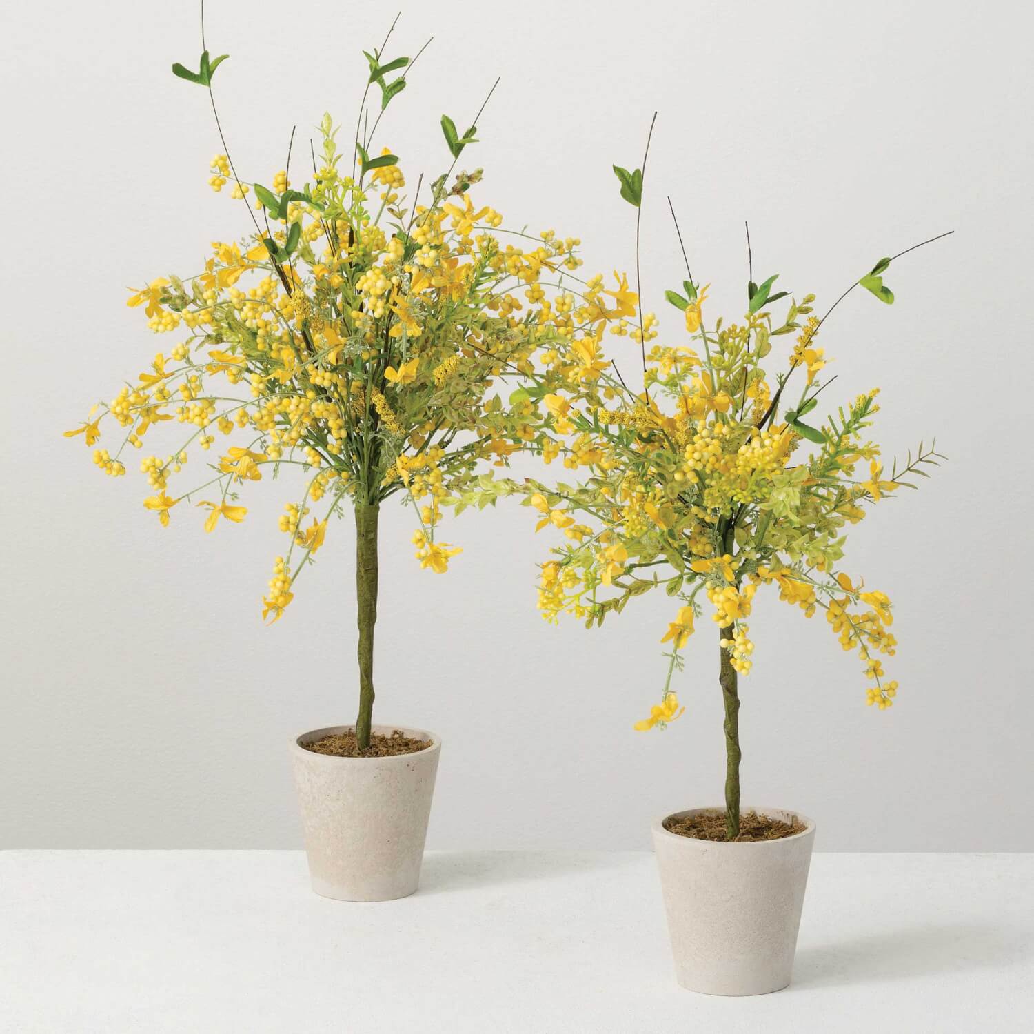 YELLOW WISPY TOPIARY Set 2